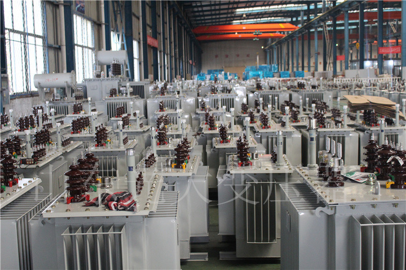夏津S22-800KVA/10KV